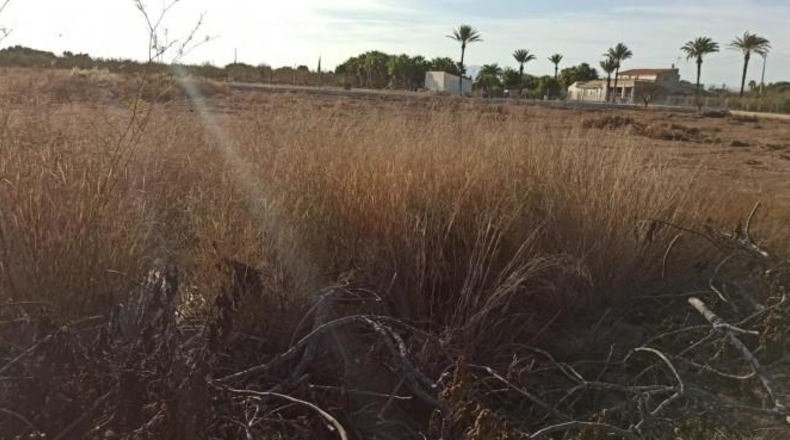 Alicante - Elche - 20500m2