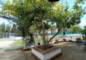 Xalet independent amb terreny en venda a la España, Villamartín, ref.: TR160937 foto