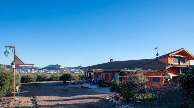 Jaén - Vilches - 30000m2