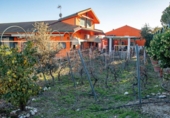 Xalet independent amb terreny en venda a la España, Vilches, ref.: TR168880 foto