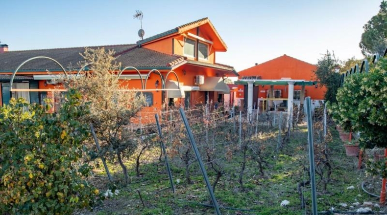 Jaén - Vilches - 30000m2