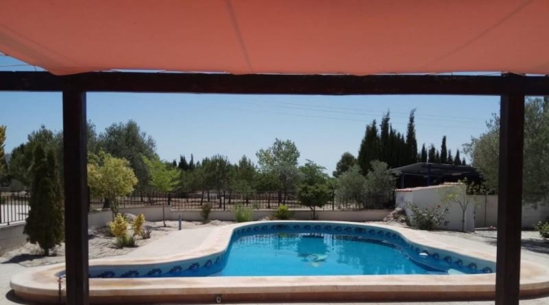 Murcia - Yecla - 5600m2