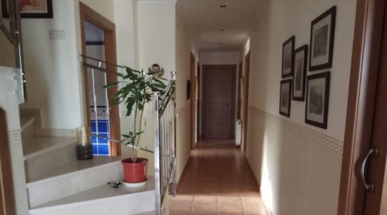 Murcia - Yecla - 5600m2