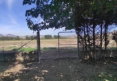 Загородный дом с участком на продажу в городе Fuente Vaqueros Фото