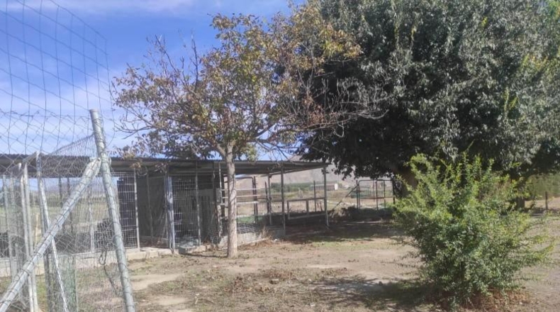 Granada - Fuente Vaqueros - 6800m2