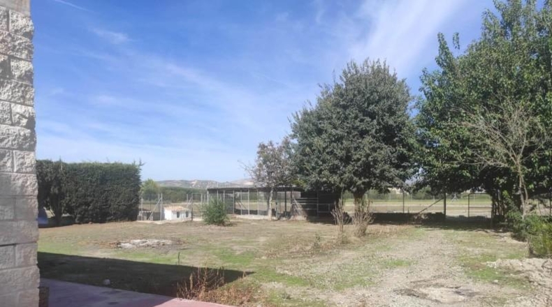 Granada - Fuente Vaqueros - 6800m2