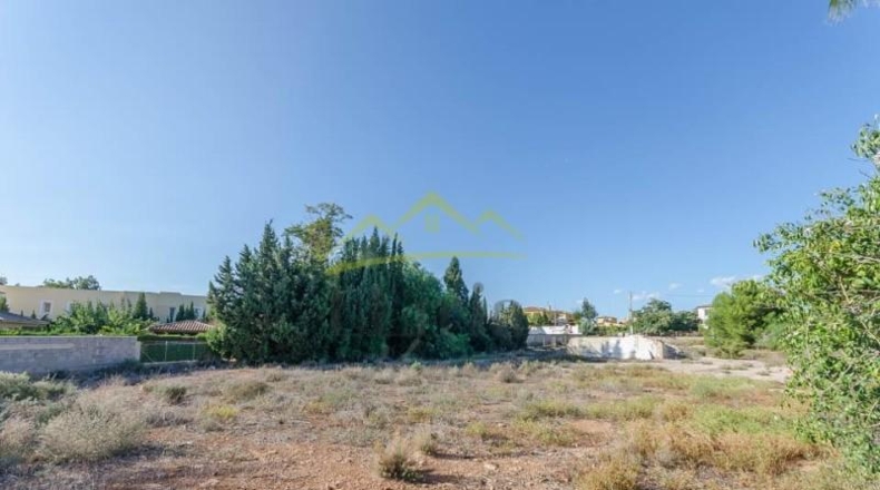 València - Puebla de Vallbona - 2088m2