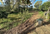 Chalet independiente con terreno en venta en la España, Arcos de la Frontera, ref: TR179023 foto