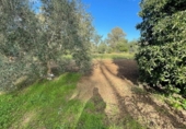 Chalet independiente con terreno en venta en la España, Arcos de la Frontera, ref: TR179023 foto