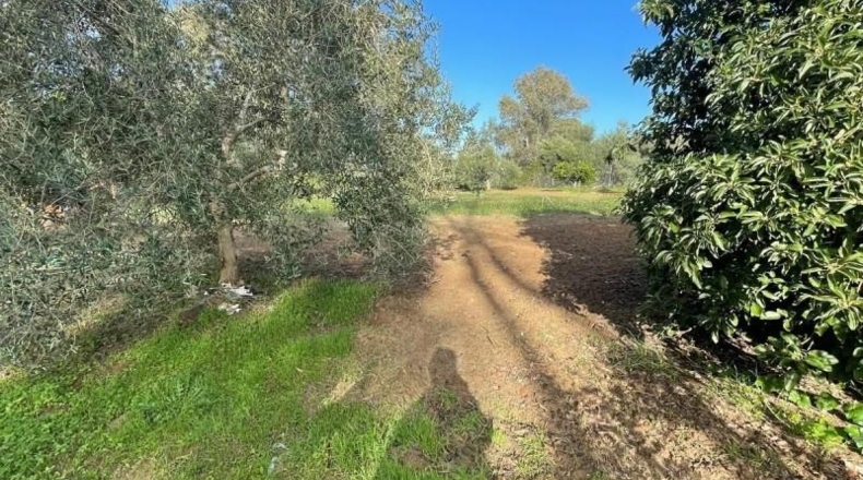 Cadiz - Arcos de la Frontera - 250m2