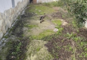 Chalet independiente con terreno en venta en la España, Arcos de la Frontera, ref: TR179023 foto