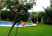 Chalet independiente con terreno en venta en la España, Lorca, ref: TR151951 foto