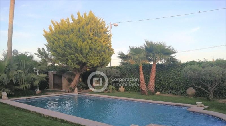 Murcia - Lorca - 1000m2
