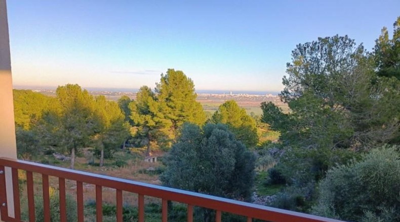 Castellón - Benicarló - 214m2