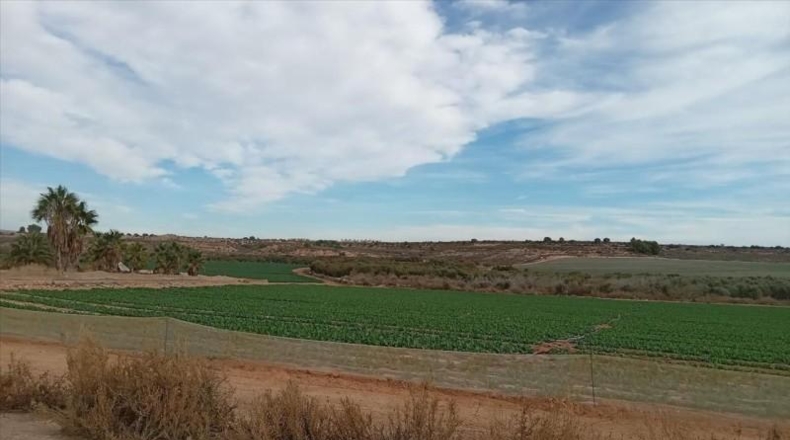 Murcia - Мурсия - 16267m2