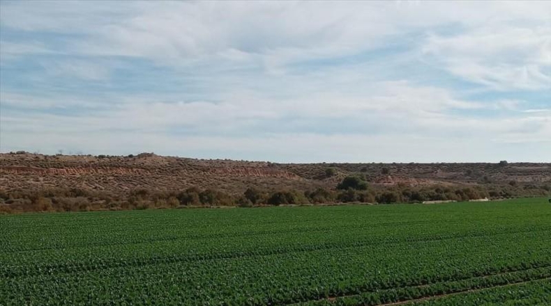 Murcia - Мурсия - 16267m2