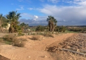 Sòl urbà en venda a la España, Múrcia, ref.: TR328783 foto