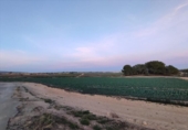 Sòl urbà en venda a la España, Múrcia, ref.: TR328783 foto
