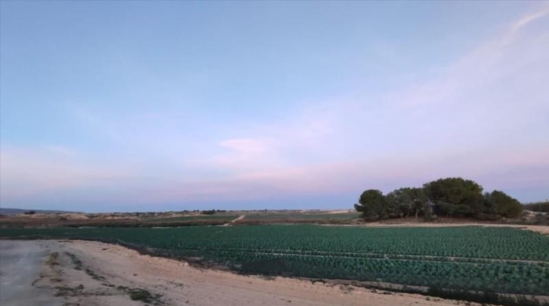 Murcia - Мурсия - 16267m2