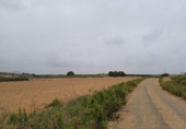 Sòl urbà en venda a la España, Múrcia, ref.: TR328783 foto