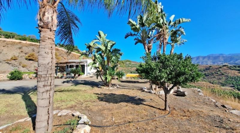 Malaga - Torrox - 32000m2