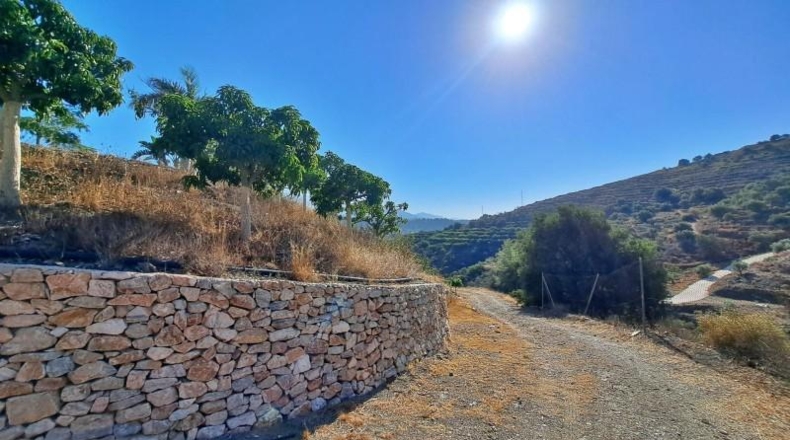 Malaga - Torrox - 32000m2