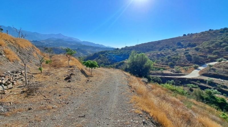 Malaga - Torrox - 32000m2