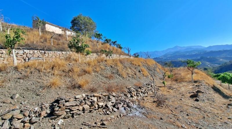 Malaga - Torrox - 32000m2