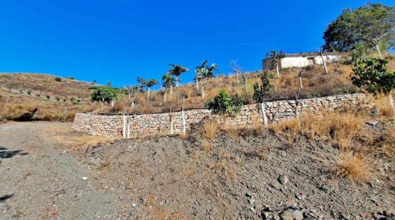 Malaga - Torrox - 32000m2