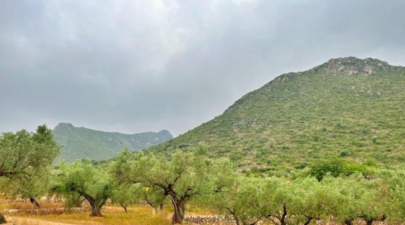 Tarragona - Roquetes - 44595m2