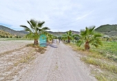 Casa de camp amb terreny en venda a la España, Mazarrón, ref.: TR325400 foto