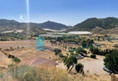 Casa de camp amb terreny en venda a la España, Mazarrón, ref.: TR325400 foto