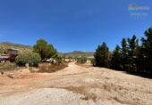 Casa de camp amb terreny en venda a la España, Mazarrón, ref.: TR327791 foto