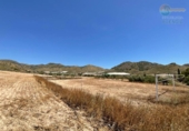 Casa de camp amb terreny en venda a la España, Mazarrón, ref.: TR327791 foto