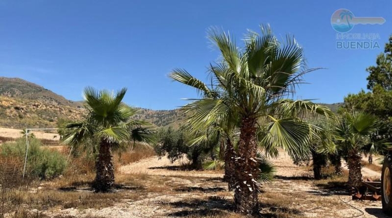 Murcia - Mazarrón - 32000m2