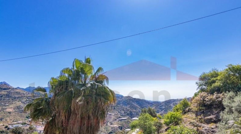 Málaga - Sayalonga - 1233m2