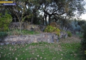 Finca rústica en venda a la España, Valencia de Alcántara, ref.: TR270253 foto