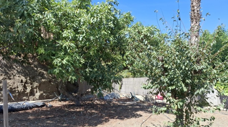 Malaga - Frigiliana - 1235m2