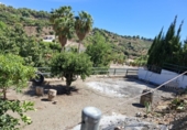 Casa de camp amb terreny en venda a la España, Frigiliana, ref.: TR334892 foto