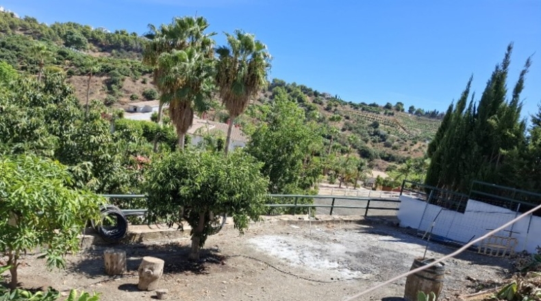 Malaga - Frigiliana - 1235m2