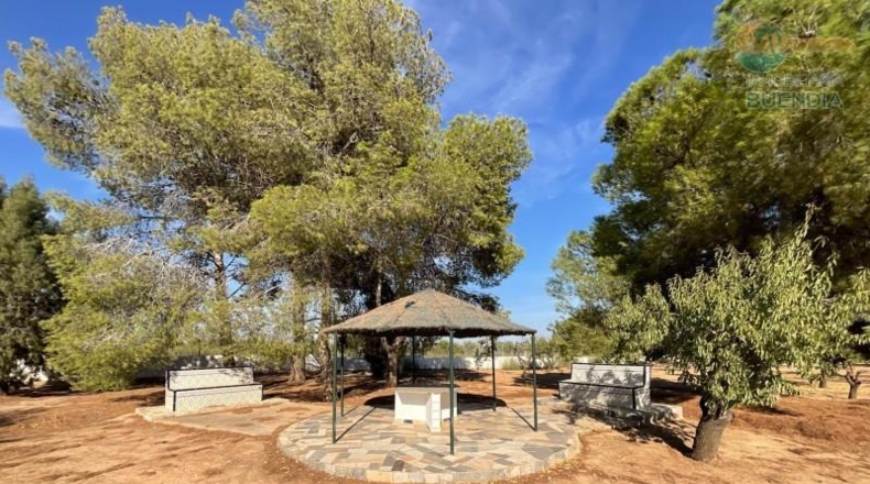 Murcia - Фуэнте Аламо де Мурсия - 17000m2