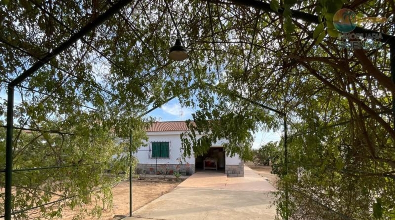 Murcia - Фуэнте Аламо де Мурсия - 17000m2