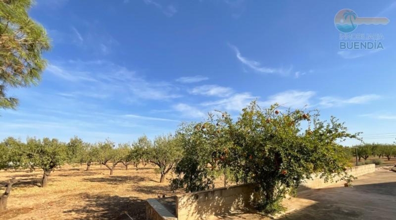 Murcia - Фуэнте Аламо де Мурсия - 17000m2