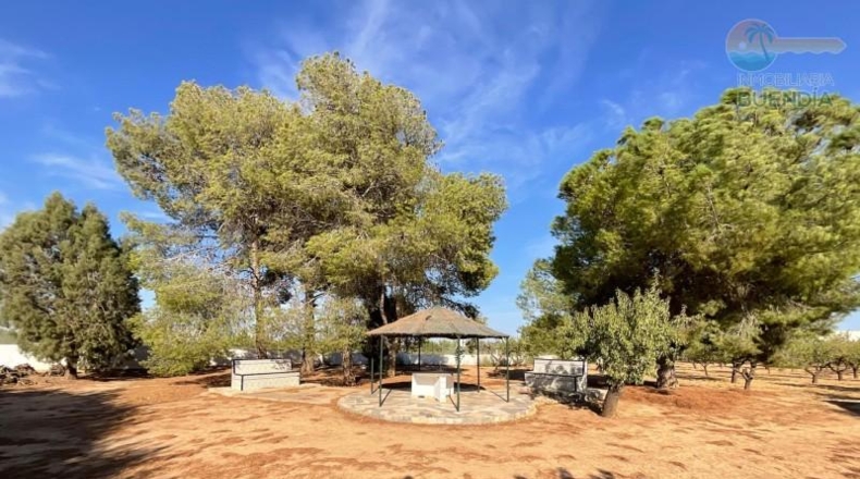 Murcia - Фуэнте Аламо де Мурсия - 17000m2