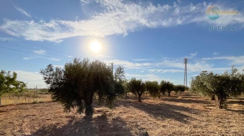 Murcia - Фуэнте Аламо де Мурсия - 17000m2