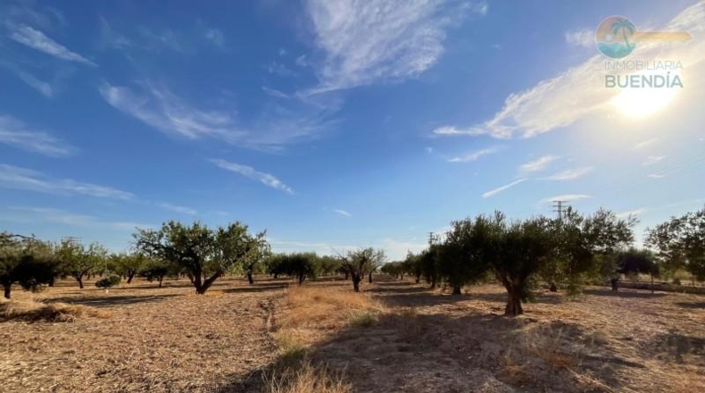 Murcia - Фуэнте Аламо де Мурсия - 17000m2