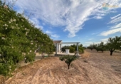Загородный дом с участком на продажу в городе Fuente Álamo Фото