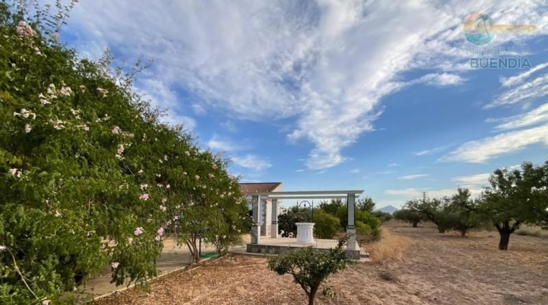 Murcia - Фуэнте Аламо де Мурсия - 17000m2