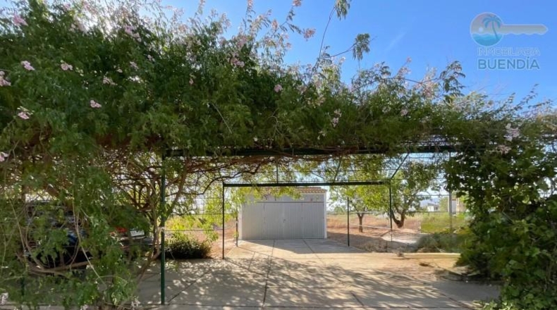 Murcia - Фуэнте Аламо де Мурсия - 17000m2