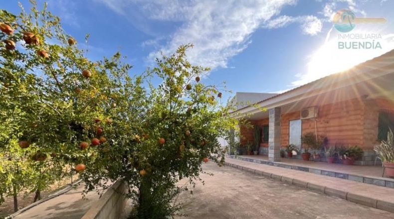 Murcia - Фуэнте Аламо де Мурсия - 17000m2